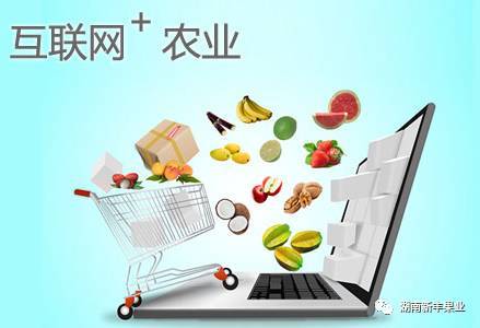 互聯(lián)網(wǎng)+農(nóng)業(yè)模式下農(nóng)產(chǎn)品營銷策略 破解銷售困境的創(chuàng)新路徑